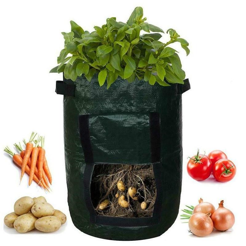Practical And Lightweight Garden Plant Tools For Homegrown Food On Balconies And Patios