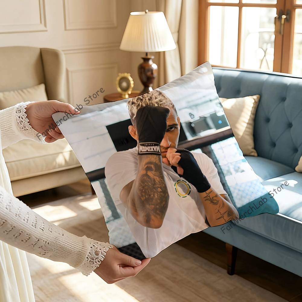 CCharles Brazil OOliveira Pillow Case Ultra Soft Skin Friendly Fabric Cloud Like Comfort Concealed Zipper