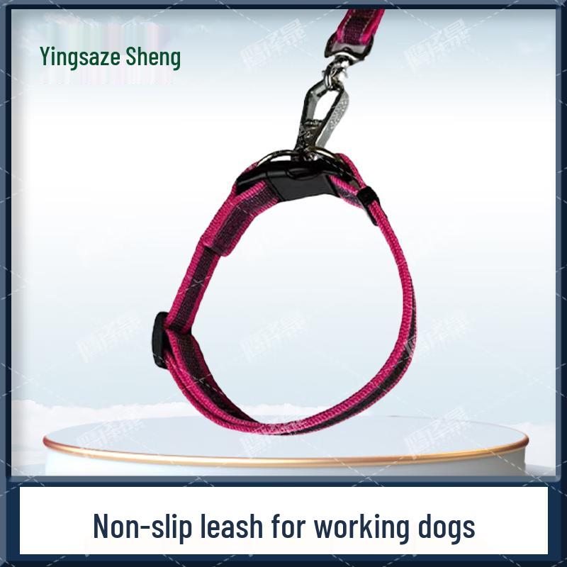 Heavy-Duty Anti-Pull Dog Harness & Leash