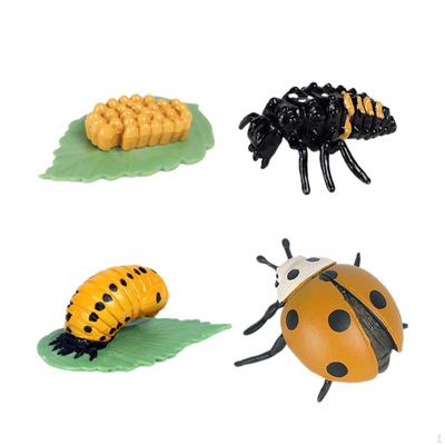 Animal Growth Cycle Set Teaching Tool Desktop Decoration Preschool Learning Educational