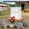 Rabbit Water Bottle for Cage Small Animal Water Dispenser No Drip Water Bottle for Bunny Hamster Guinea Pig Ferret Chinchilla