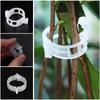 50pcs Reusable Plastic Plant Clips – Durable Supports for Gardening, Grafting, and Securely Fixing Tomatoes, Vegetables, and More