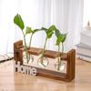 Wood & Glass Hydroponic Bottle - Simple Modern Home Decor