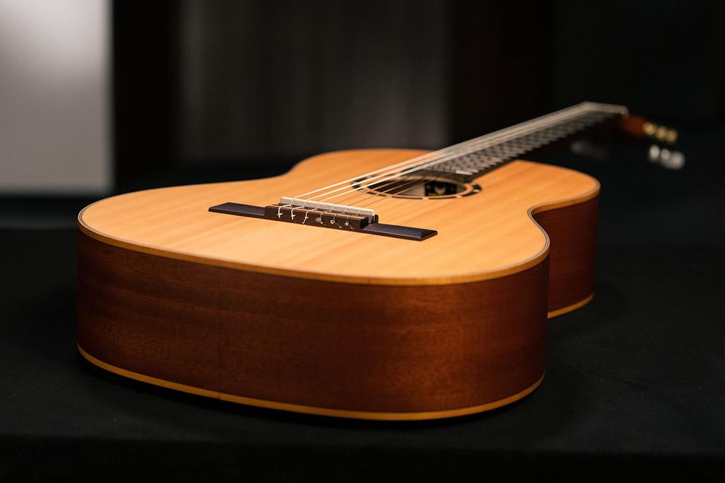 ORTEGA Classic Guitar FAMILY Series Spruce Top Slim Neck Specification R121SN Bag (Gig Included) []