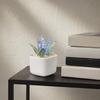 Artificial Potted Plant Handmade Colored Glaze Lavender Potted Plant