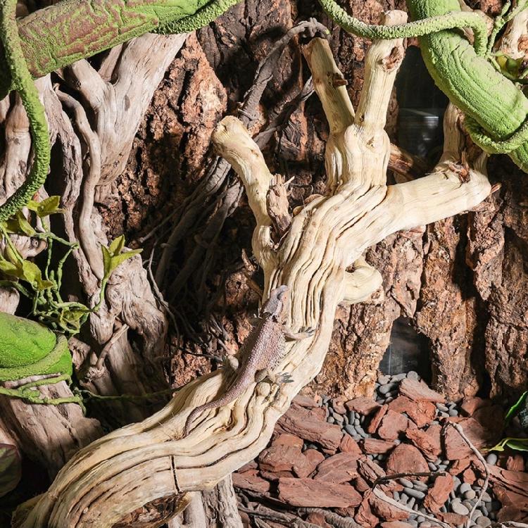 Jaskinia Pnia dla Gadów Naturalna Estetyka Hodowla Drewno Dryfujące dla Gadów Drewno Wspinaczkowe Jadalnie Akcesoria