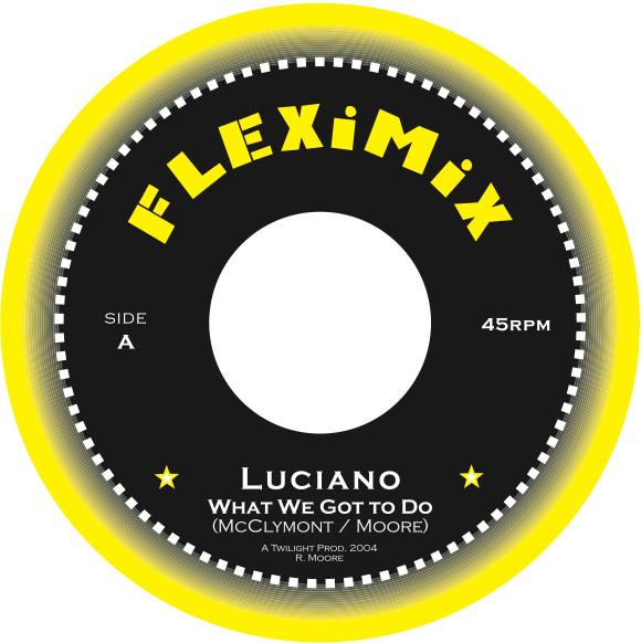 7inch Record LUCIANO (2) - What We Got To Do  FLEX1003 Fleximix 2004 Netherland Reggae, Ska & Dub Used