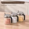 Stainless Steel Glass Kitchen Seasoning Jars Set with Spring Lid & Spoon