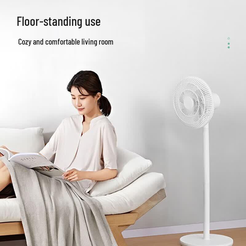 AIRMATE LPF07 Standventilator CN-Stecker (Adapter enthalten)