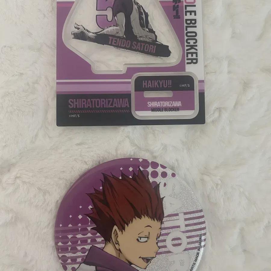 

Значок для жестяной банки Haikyu Shiratorizawa Tendo Satori, средний, магазин, акрил
