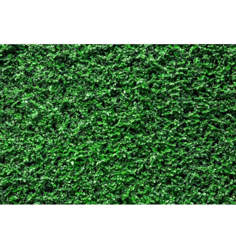 Tropical Green Leaves Backdrop Birthday Baby Shower Green Grass Wall Safari Jungle Wild One Party Wedding Photography Background