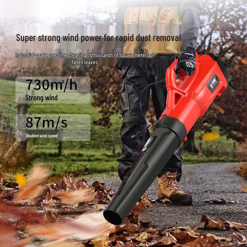 Lichen 48V Lithium Electric Backpack Handheld Blower CN plug (adapter included)