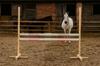 Sprunghindernis für Hobby Horse 160cm, H-120cm, Zwei Stangen - Beige und Hellrosa