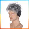 2025 Europäische Mode Perücke Kurze Gerade Perücke Für Männer HW710
