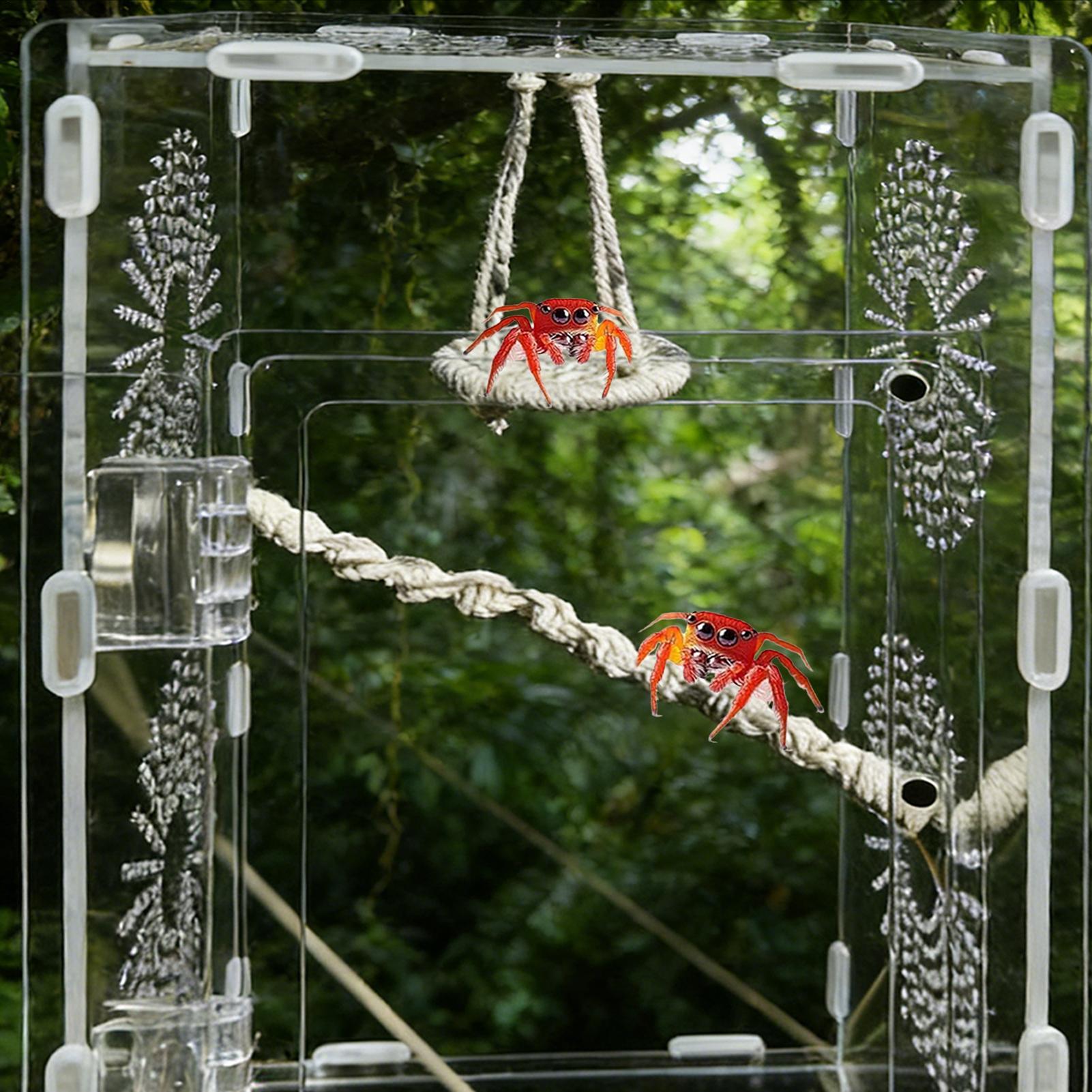 

Jumping Spider Enclosure Accessories Hangable Rope Climbing Swing Jumping Spider Terrarium Decor For Terrarium Breeding Geckos China Mainland