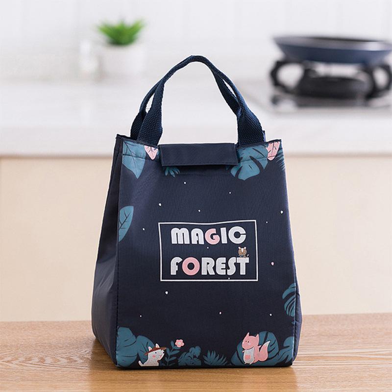 Cute Lunch Box Thermal Bags Portable Insulated Cooler Food Carrier Large Capacity Handbags for Women Picnic Bento Bag Container