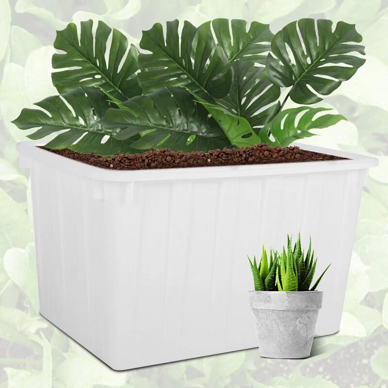 Senyan Large Plastic Water Storage Tank