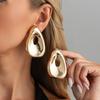 Exaggerated Personality, Smooth Folds, Earrings, Women's Irregular Geometry, Metal Earrings, Jewelry