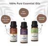 Ananta Combo Olio Essenziale per la Crescita dei Capelli – Oli Aromatici di Jojoba, Lavanda e Rosmarino (10 ml × 3)