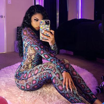 Women Sexy Mesh Snake Print Long Sleeve Jumpsuit Transparent Jumpsuit