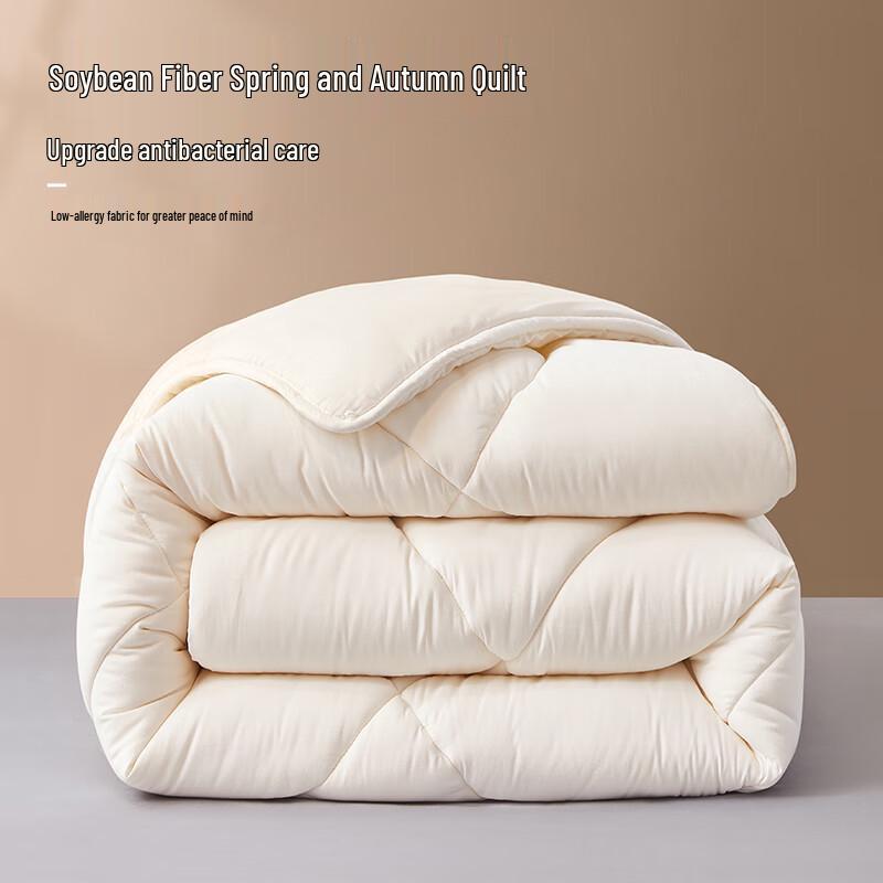 

Beyond Home Textile Antibacterial Soy Fiber Quilt