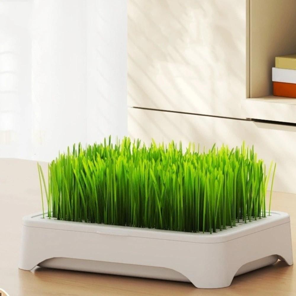 Self-planted Tray Hydroponic Tray Plastic Wheat Seedling Pot Sprout Tray Home Gardening