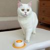 Anti-spill Dog Lick Toys Plastic Non Tip Design Yogurt Licking Plate Bite Resistant Self-Soothing Interactive Dog Toys