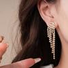 Silver Needle European and American Zircon Water Drop Tassel Earrings Earrings Personality Temperament Earrings Women