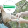 100 Pieces Numbered Chicken Leg Bands Tags Color Versatile Reusable Poultry Foot Rings for