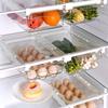 Kitchen Storage Box Fruit Vegetable Preservation Organizer Transparent Egg Container Under-shelf Refrigerator Drawer Silver Tray