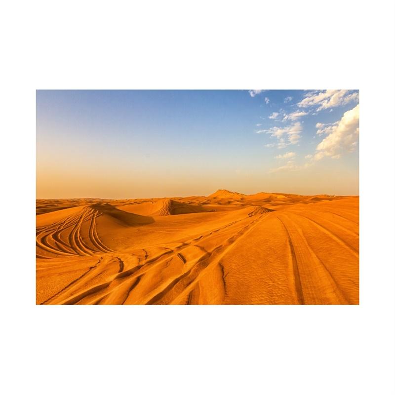 Desert Series Photography Background Natural Scenery Backdrop Photo Backdrop Studio Supplies Props Home Decor