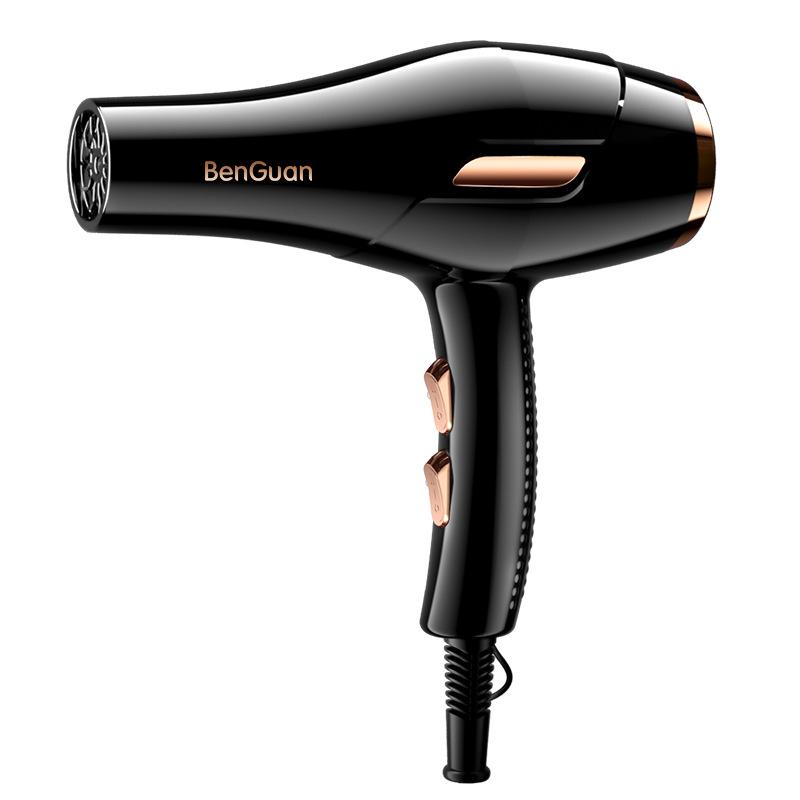 High Power Blue Light Negative Ion Hair Dryer for Home or Dorm