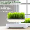 Plastic Cat Grass Planter Self-planted Tray Growth System Soil-Free Nursery Box 3 Layer Cultivation Pot Hydroponic Tray