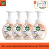 Foaming Antibacterial Hand Wash, Grapefruit (4-Bottle Pack)