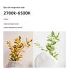 UOSU BF 100W Handheld LED Photography Fill Light