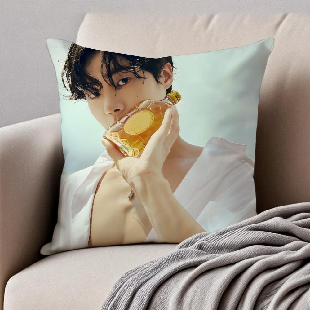 POP Korea CChoo YoungWoo Cushion Cover Pillowcase Antidustmite Invisible Zipper Short Plush Sofa Cushion