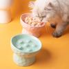 Changbaosen Elevated Ceramic Slow Feeder Pet Bowl