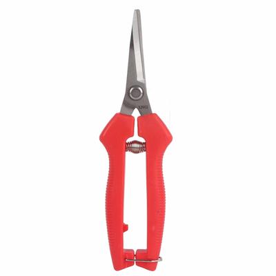 Pruning Shears Gardening Trimming Vegetable Fruit Tree Branch Scissors Pruners with Straight
