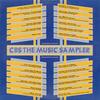 LP Record VARIOUS  CBS The Music Sampler   Volume 2 2CDN112 CBS 1983 Canada Rock Used