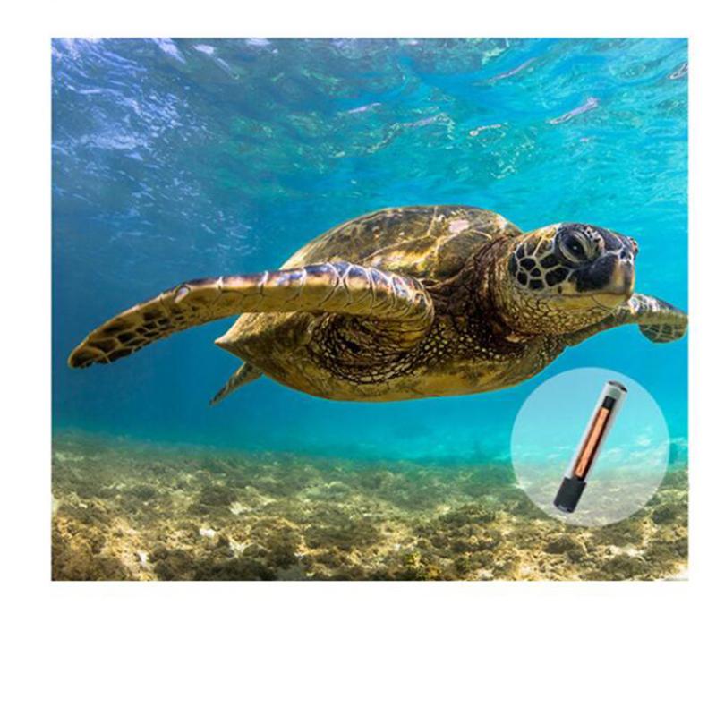 Haustier Chip Spritze Implantierter Mikrochip Transponder Für Rind Ziege Tier Chip Injektor 2.12x12mm