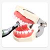 6 szt./pudełko Złote elastyczne pilniki dentystyczne, obrotowe pilniki endodontyczne, złote pilniki endodontyczne, 21/25/31 mm, niklowo-tytanowe, narzędzie stomatologiczne
