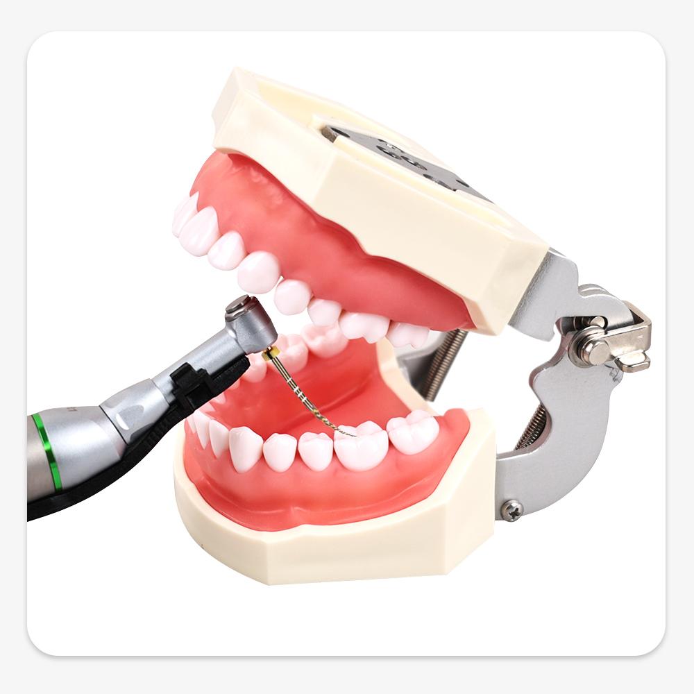 6 szt./pudełko Złote elastyczne pilniki dentystyczne, obrotowe pilniki endodontyczne, złote pilniki endodontyczne, 21/25/31 mm, niklowo-tytanowe, narzędzie stomatologiczne
