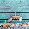 Teppich im Ozean-Stil mit Muster, rutschfest, für den Flur, Eingangsbereich, Strand-Ozean-Druck-Teppich