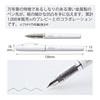 Kokuyo PERPANEP Fountain Pen Preppy Fine Point PER-PR03W