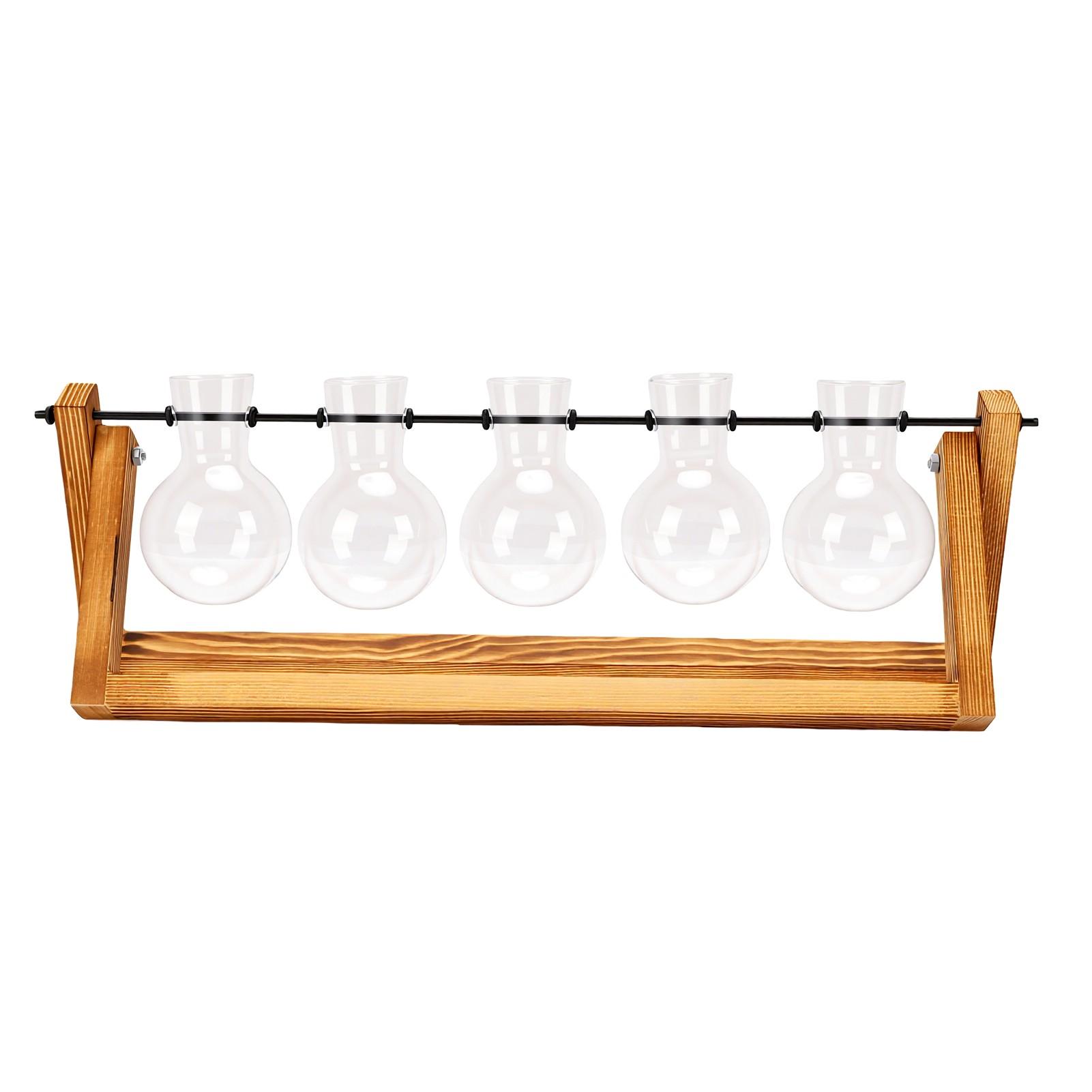 Station de Propagation de Plantes avec Support en Bois 5 Vases Ampoule en Verre Terrarium pour Plantes Décoration de Bureau à Domicile Jardinage