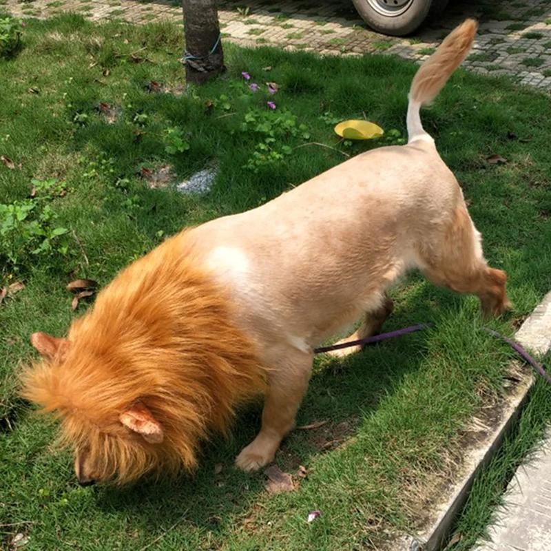 Urocze Ubrania Cosplay dla Psa Domowego Lwia Grzywa na Kostiumy dla Psa Realistyczna Lwia Peruka dla Psów Średnich i Dużych z Uchem Akcesoria dla Zwierząt