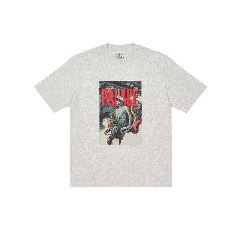 

Palace FW21 Manga T-Shirt Unisex T-Shirt Grey P21TS174 XL
