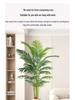 Bionic Green Sprenger's Fern Artificial Tree for Indoor Luxury Living Room Décor