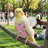 Breathable Bird Flight Suit Escape Proof Bird Training Gear Parrot Flying Harness  Bird Walking