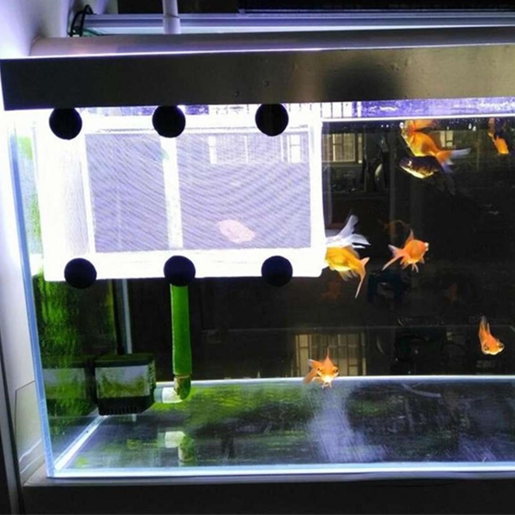1 Pcs Fish Breeding Incubator Net Hanging Fish Hatchery Isolation Box for Aquarium Accessory